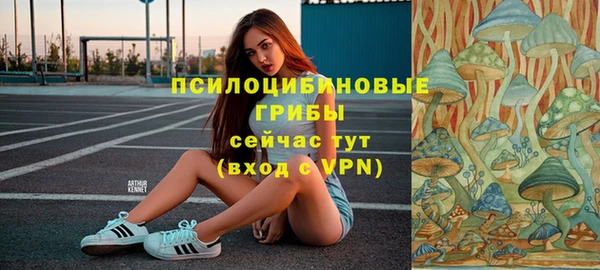 спайс Беломорск
