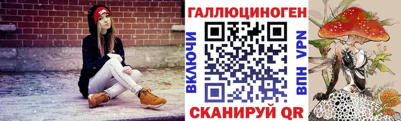 Купить где  Майский  Псилоцибиновые грибы Psilocybine cubensis 